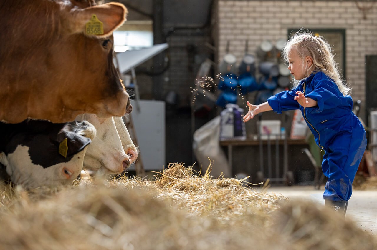 De-Koeienvriendjes-Agrarisch-Kinderdagverblijf-Rilland-1