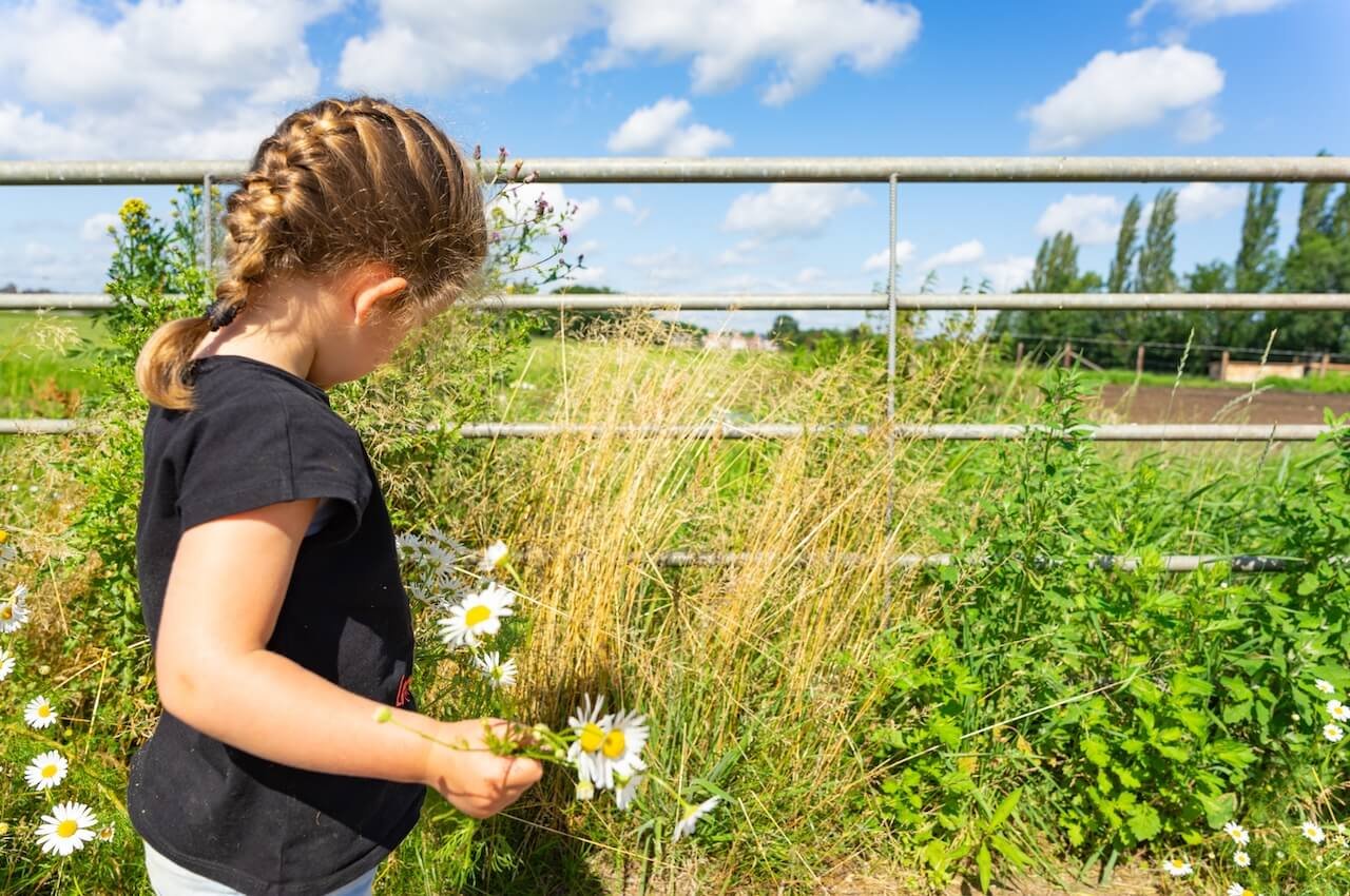 De-Koeienvriendjes-Agrarisch-Kinderdagverblijf-Rilland-Binnenruimte-3