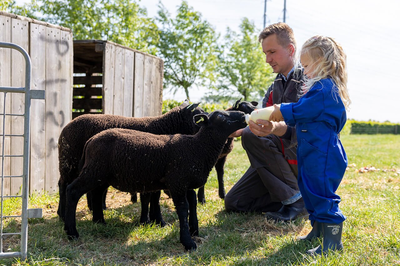 De-Koeienvriendjes-Agrarisch-Kinderdagverblijf-Rilland-Card-1